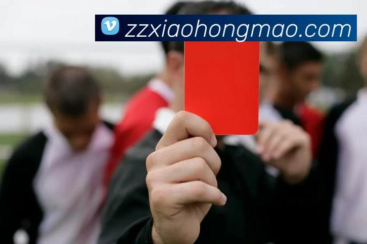 对战数据统计